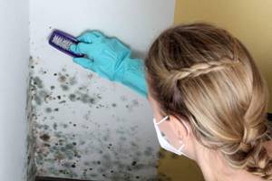 Боремся с размножением грибков и грязной плесенью в доме своими руками: негативное влияние и как избавиться