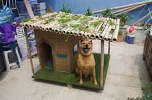 Будка для собаки из бамбука