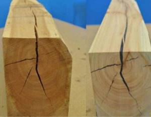 Трещины внутри древесины могут возникнуть по разным причинам