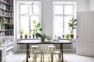 Растения в скандинавском дизайне
