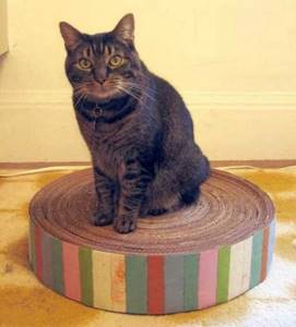 Домик и когтеточка из ковролина для кошки: Инструкция