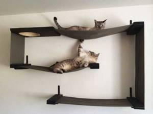 Комбинация полок для кошек с гамаками... Почти произведение искусства