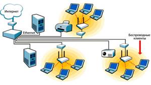 К локальной сети могут быть подключены несколько компьютеров