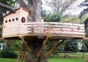Как создать дом на дереве