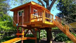 Как построить дом на дереве своими руками для детей и взрослых? Советы и Пошаговая инструкция