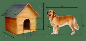Как построить вольер для собаки? Пошаговая инструкция
