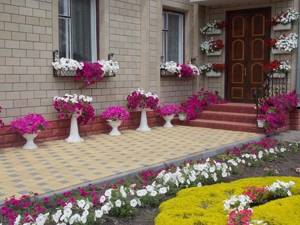 цветы в вазонах и кашпо на мощеном дворике