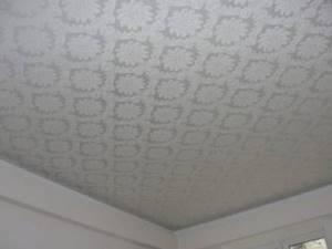 Натяжные потолки в зал: Тканевые, из ПВХ-пленки- Криволинейные конструкции