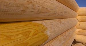 Обзор антисептиков для древесины- какой лучше выбрать? Выбор для внешней и внутренней отделки и правильная подборка и обработка
