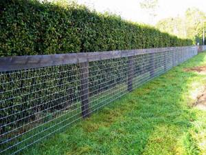Садовый забор из сетки