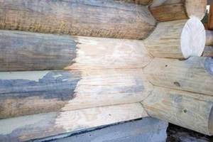 Как обработать древесину отбеливателем