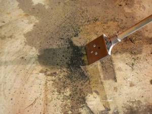Удаление застарелых жирных пятен с бетонного пола