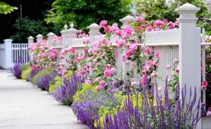 Привлекательный дизайн цветников возле дома: Советы по размещению клумб