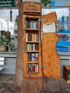 книжный шкаф из бревна