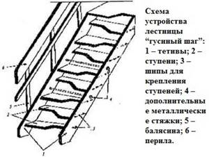 конструкция лестницы