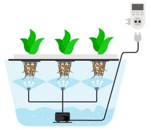 Самостоятельное выращивание гидропоники в домашних условиях: Плюсы и минусы