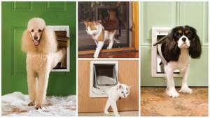 Строим Вольер для кошек своими руками: в доме для дачи/квартиры- Пошаговая инструкция