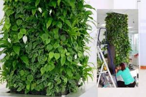Вертикальное озеленение в интерьере своими руками в квартире и частном доме: Пошаговая инструкция
