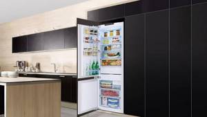 Чем отличаются встраиваемые холодильники от обычных